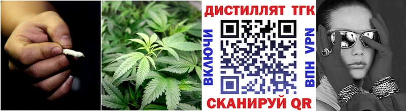Дистиллят ТГК Wax  Суровикино 