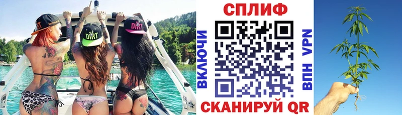 Шишки марихуана индика  маркетплейс формула  Суровикино  наркошоп 